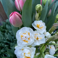 Spring Local Garden Flower Subscription: 3 or 6 weeks (April-May)