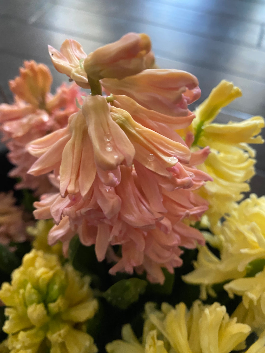 Spring Bulb Centerpiece Workshop