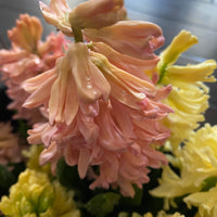 Spring Bulb Centerpiece Workshop