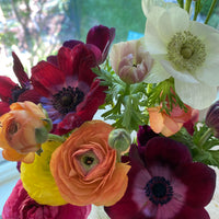 Grow Your Own Anemones and Ranunculus: Workshop