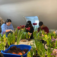 Spring Bulb Centerpiece Workshop