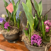 Spring Bulb Centerpiece Workshop
