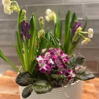 Spring Bulb Centerpiece Workshop