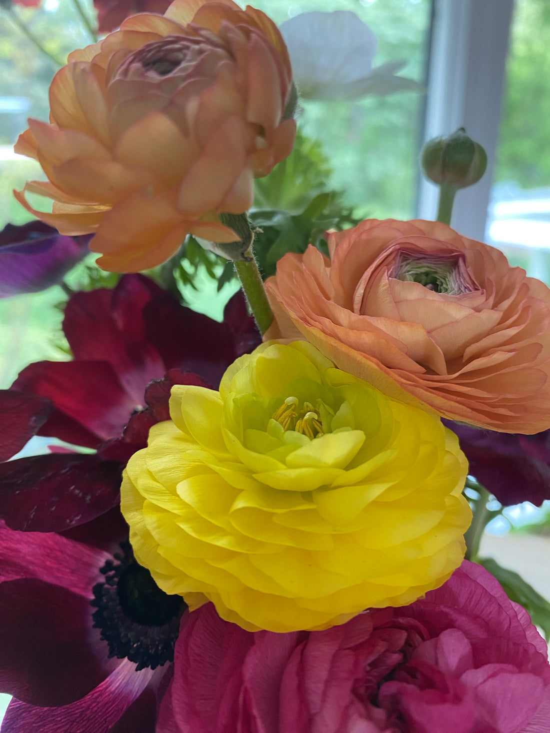 Spring Local Garden Flower Subscription: 3 or 6 weeks (April-May)