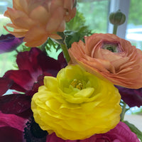 Spring Local Garden Flower Subscription: 3 or 6 weeks (April-May)