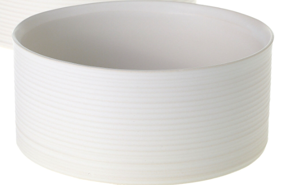 Indoor Tabeltop Spring Bulb Garden