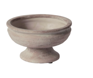 Indoor Tabeltop Spring Bulb Garden