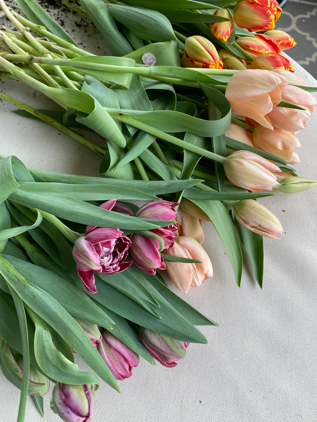 Local garden grown tulip bunches (Easter Special)