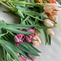 Local garden grown tulip bunches (Easter Special)