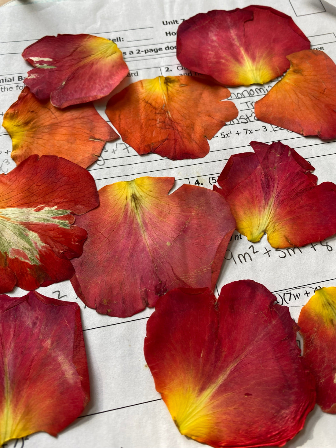 Pressed Flower Card Making Workshop (PRIVATE EVENT)