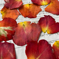 Pressed Flower Card Making Workshop (PRIVATE EVENT)