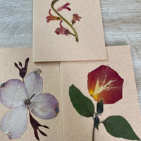 Pressed Flower Card Making Workshop (PRIVATE EVENT)