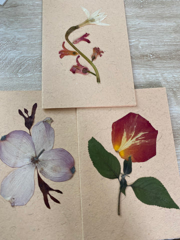Valentines Day Pressed Flower Card Making Workshop (SOLD OUT - Sign up for newsletter)