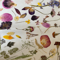 Pressed Flower Card Making Workshop (PRIVATE EVENT)