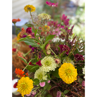 Virginia grown flowers