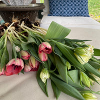 Local garden grown tulip bunches (Easter Special)