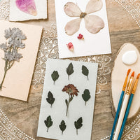 Botanical Notecards