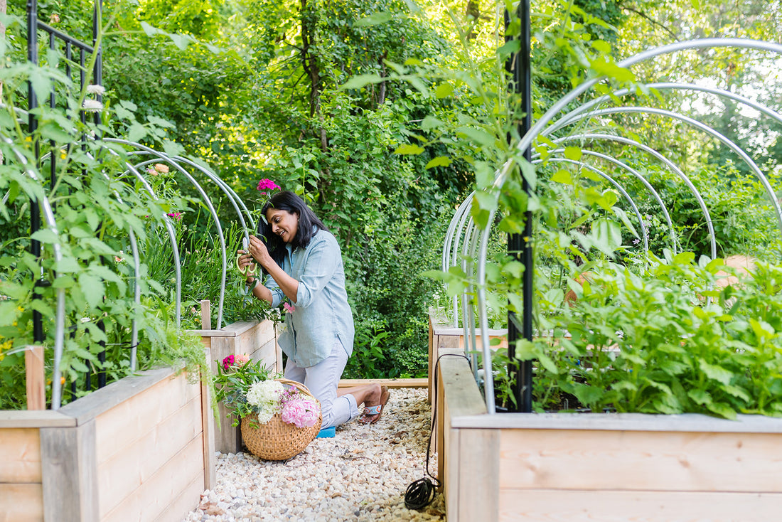 Cut Flower Garden Consultation