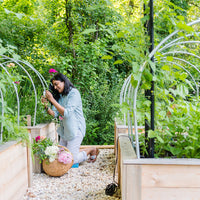 Cut Flower Garden Consultation