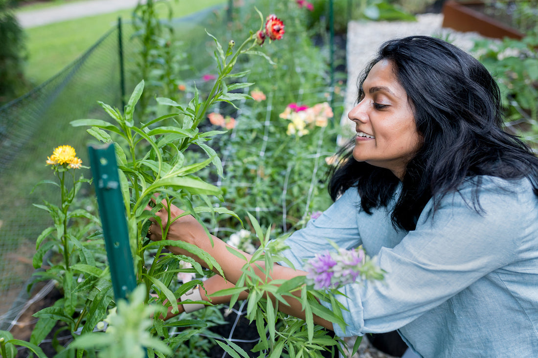 Cut Flower Garden Consultation