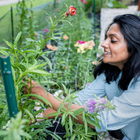 Cut Flower Garden Consultation