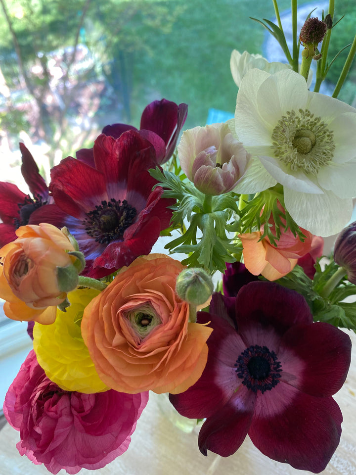Fall Workshop Series @Botanologica in Falls Church, VA Cut Flowers for Home Gardeners