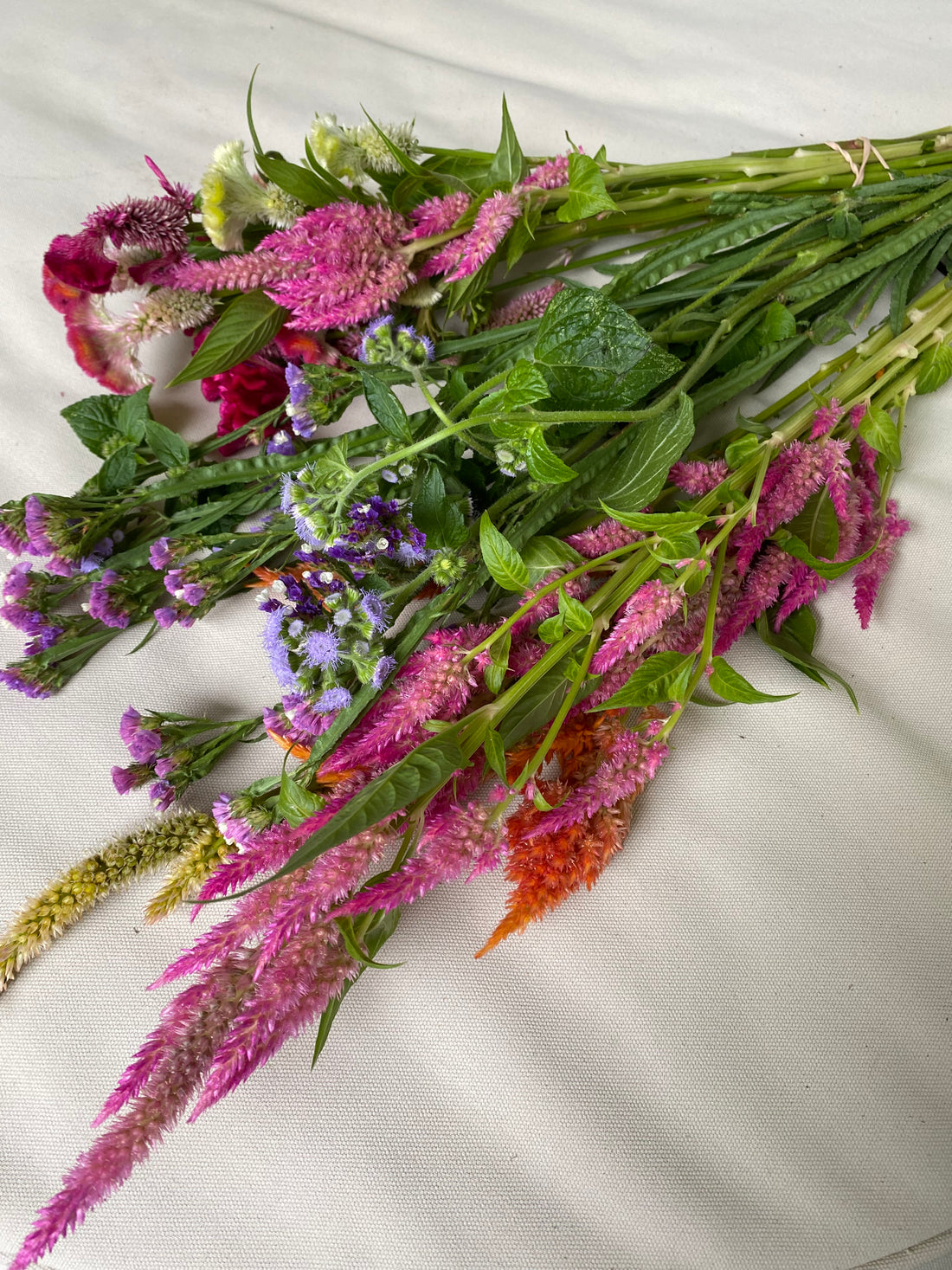 Local Virginia Grown Fall Flowers (1 or 2 weeks)