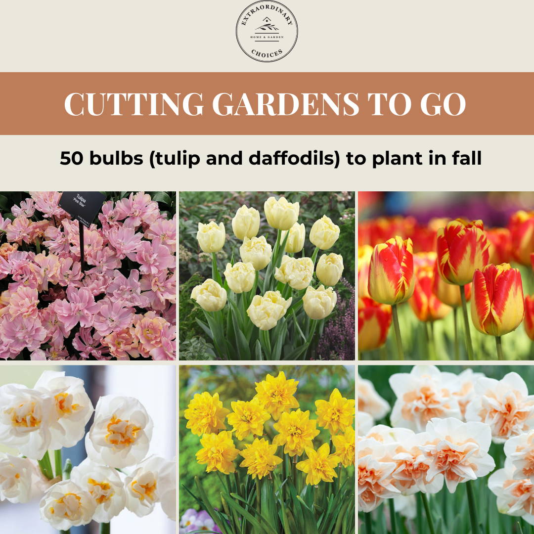 Cutting Gardens to Go: Fall Planted Spring Faves