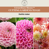 Cutting Gardens to Go: Summer Collection