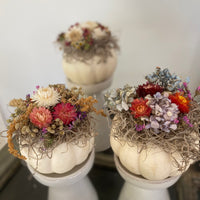 Dried flower pumpkins: Preorder for pick up at pop up