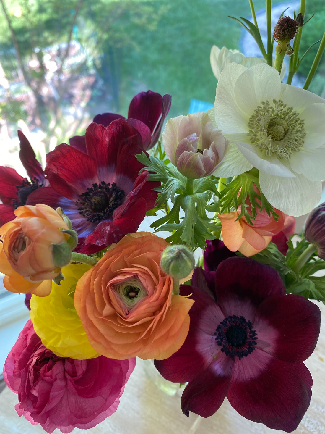 Grow Your Own Anemones and Ranunculus: Workshop