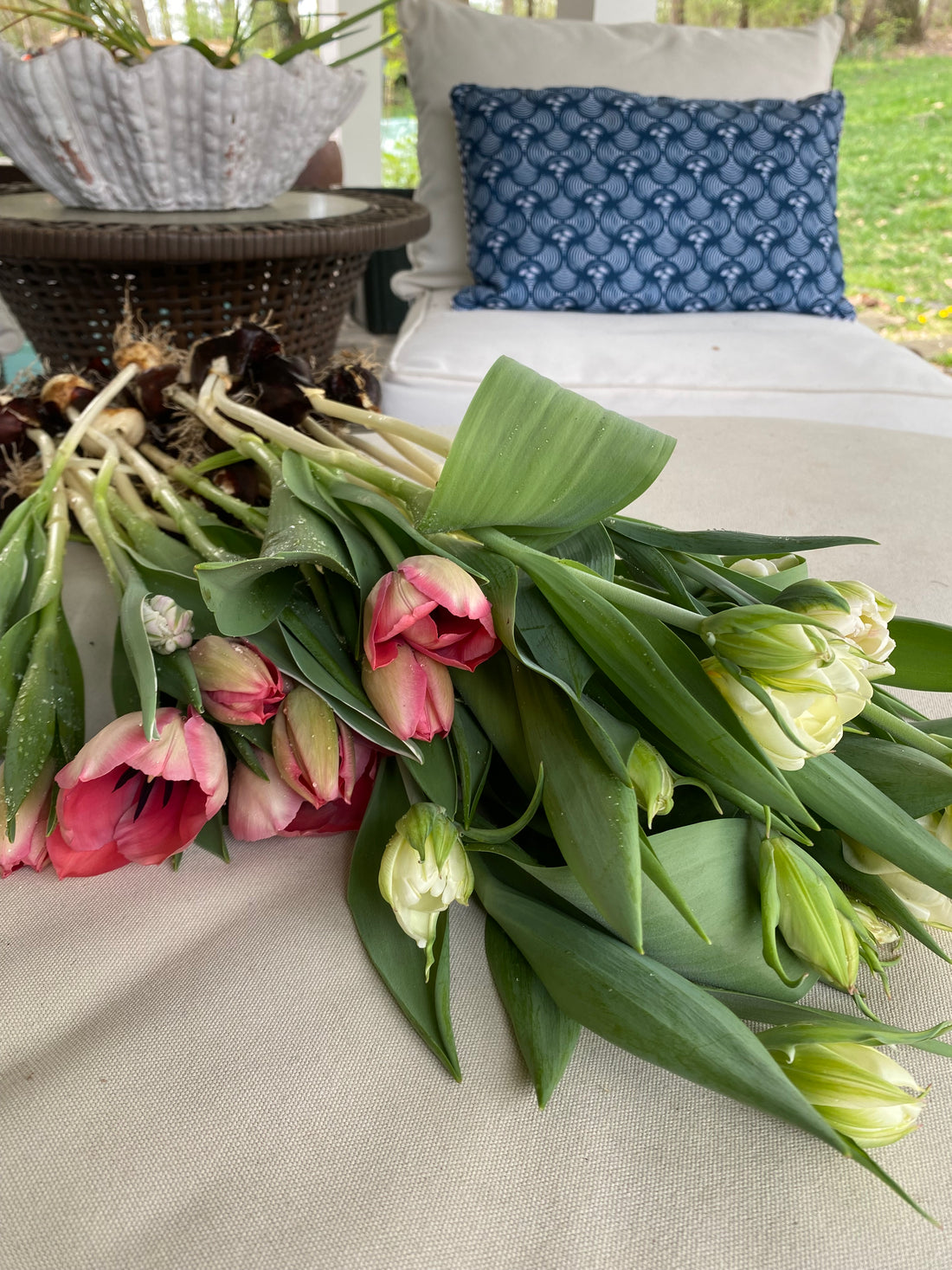 Specialty Bulbs: Spring Cut Flower Collection