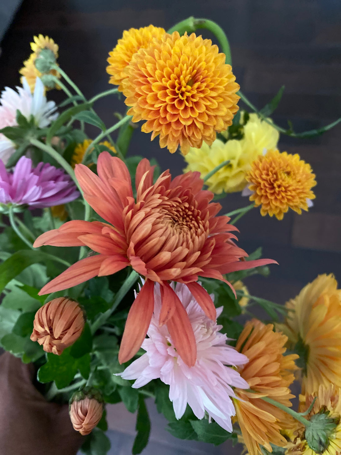 Local Virginia Grown Fall Flowers (1 or 2 weeks)