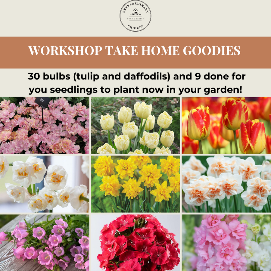 Workshop: Planting Cut Flowers in the Fall for Spring Abundance (REGISTRATION CLOSED)