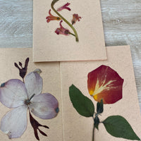 Valentines Day Pressed Flower Card Making Workshop (SOLD OUT - Sign up for newsletter)