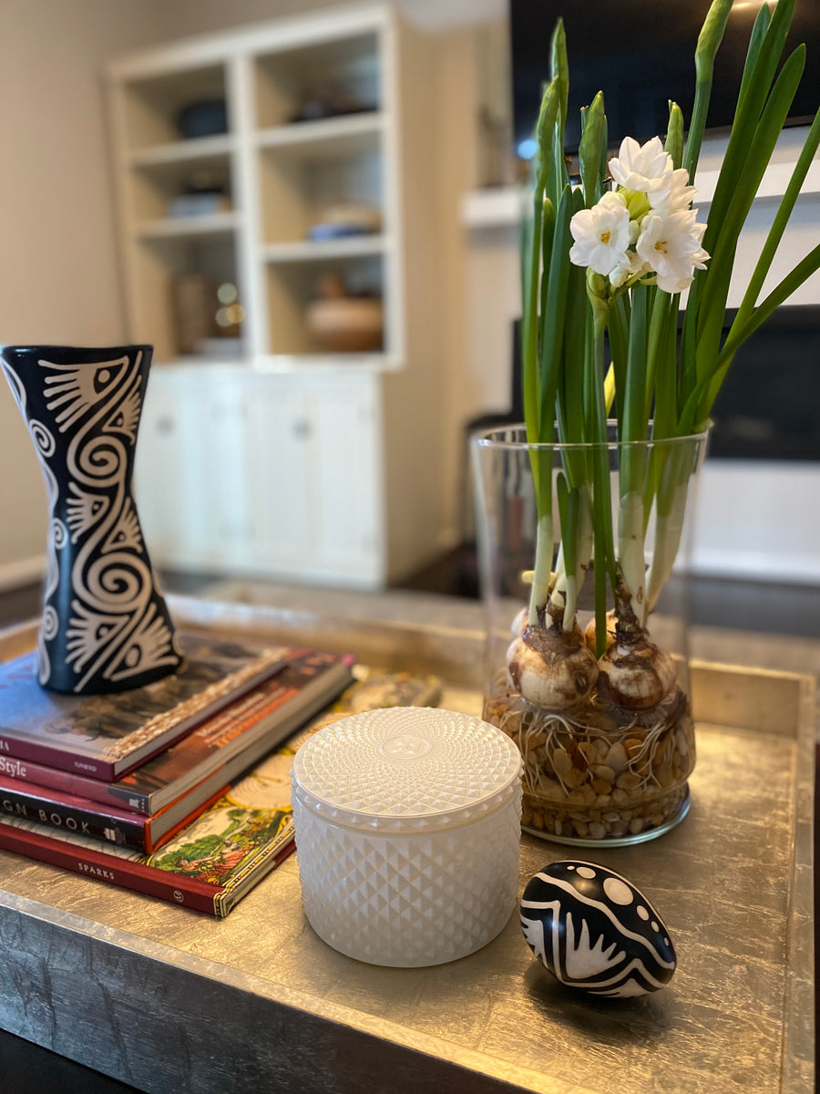 Creating Holiday Amaryllis and Paperwhite Displays