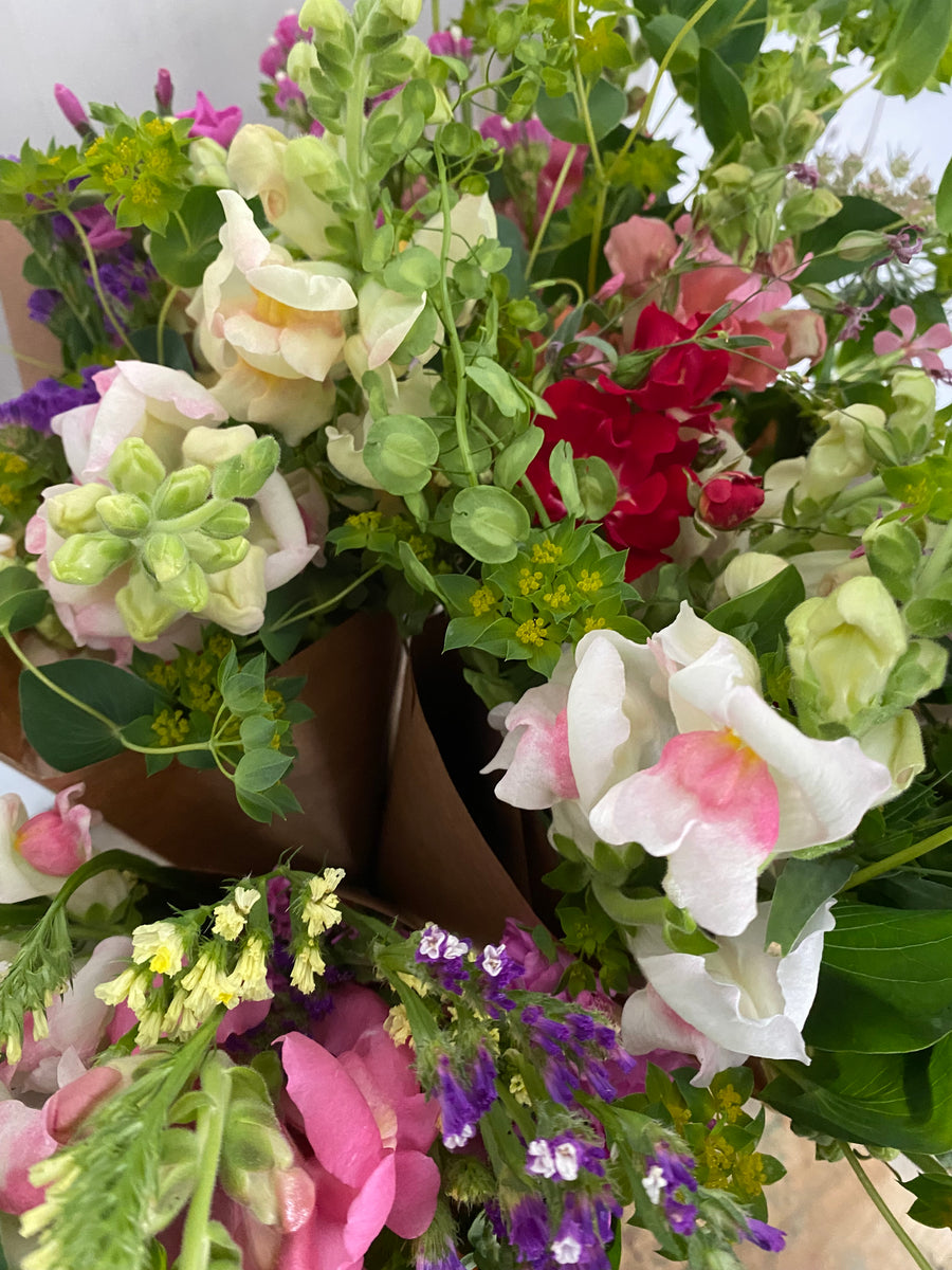 September Workshop: Planting Cut Flowers in the Fall for Spring Abundance {REGIStRATION IS NOW CLOSED]