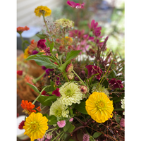 Local DMV Summer Flower Subscription (3 or 5 weeks)