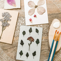Pressed Flower Notecard Sets