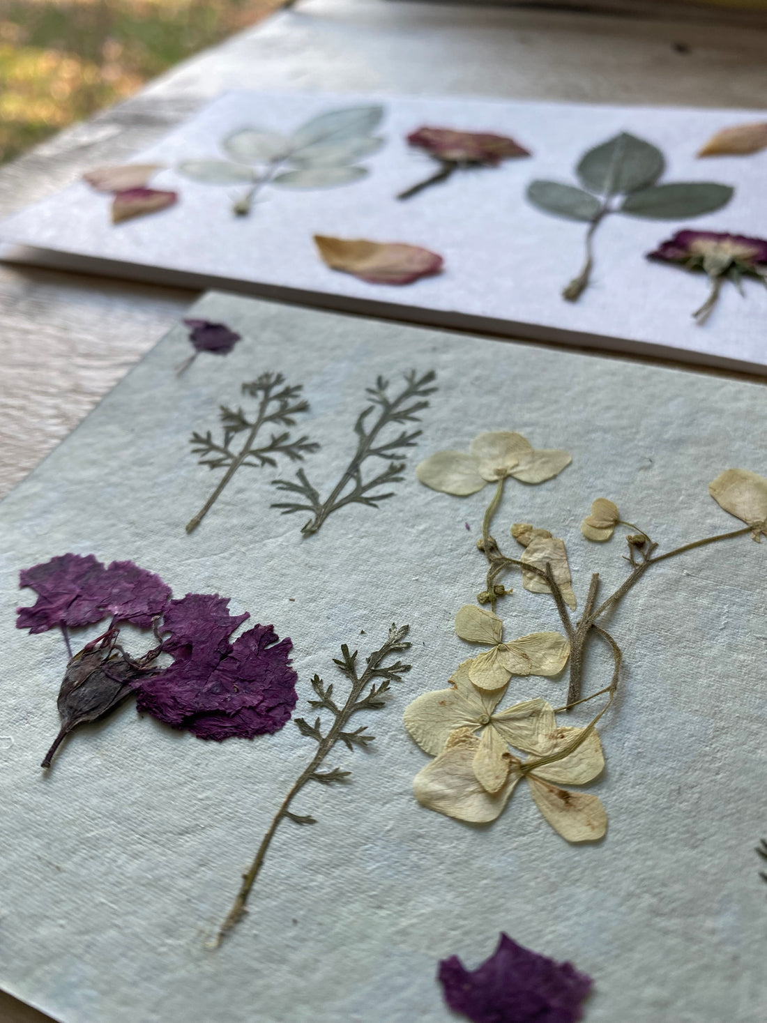 Pressed Flower Notecard Sets