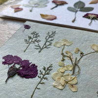 Pressed Flower Notecard Sets